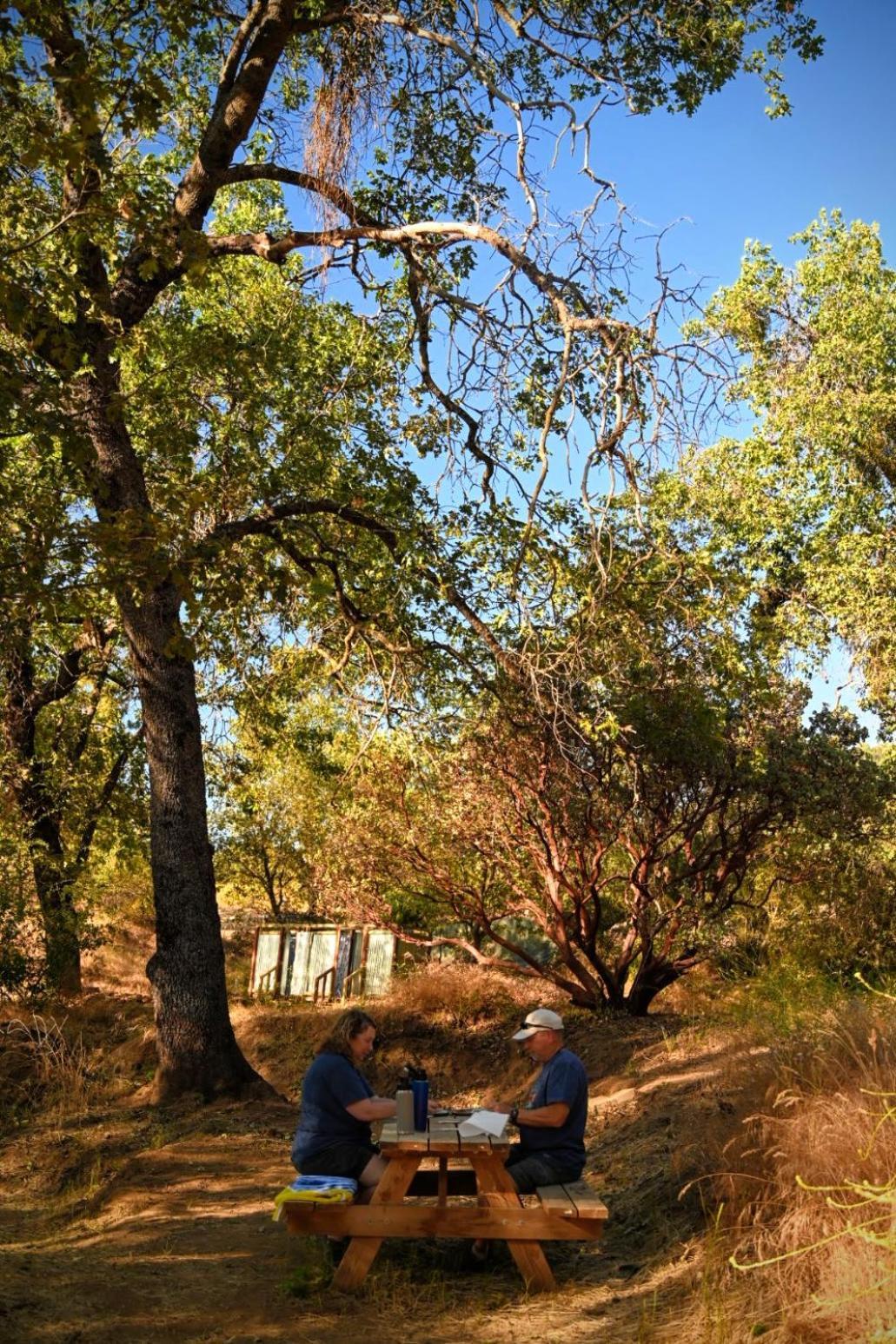 Campground At Sequoia Mountain Farms - Bring Your Own Tent Or Rv - No Bedrooms Or Beds Provided Miramonte 외부 사진