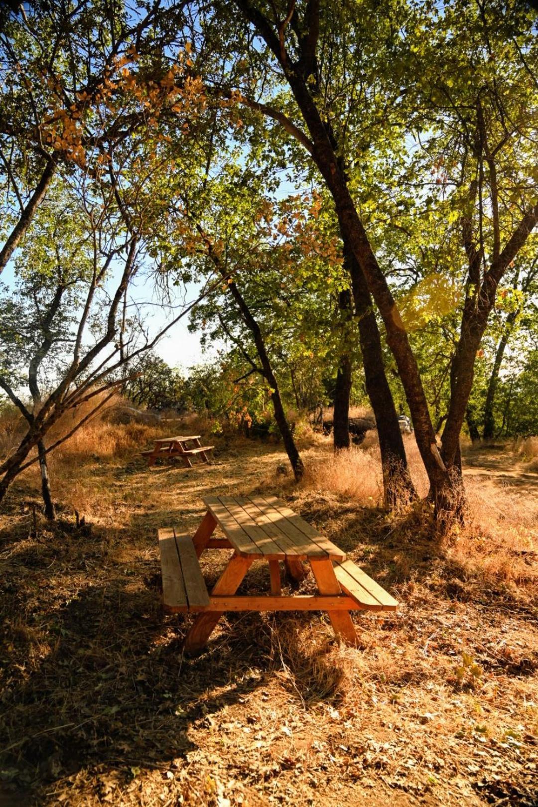 Campground At Sequoia Mountain Farms - Bring Your Own Tent Or Rv - No Bedrooms Or Beds Provided Miramonte 외부 사진